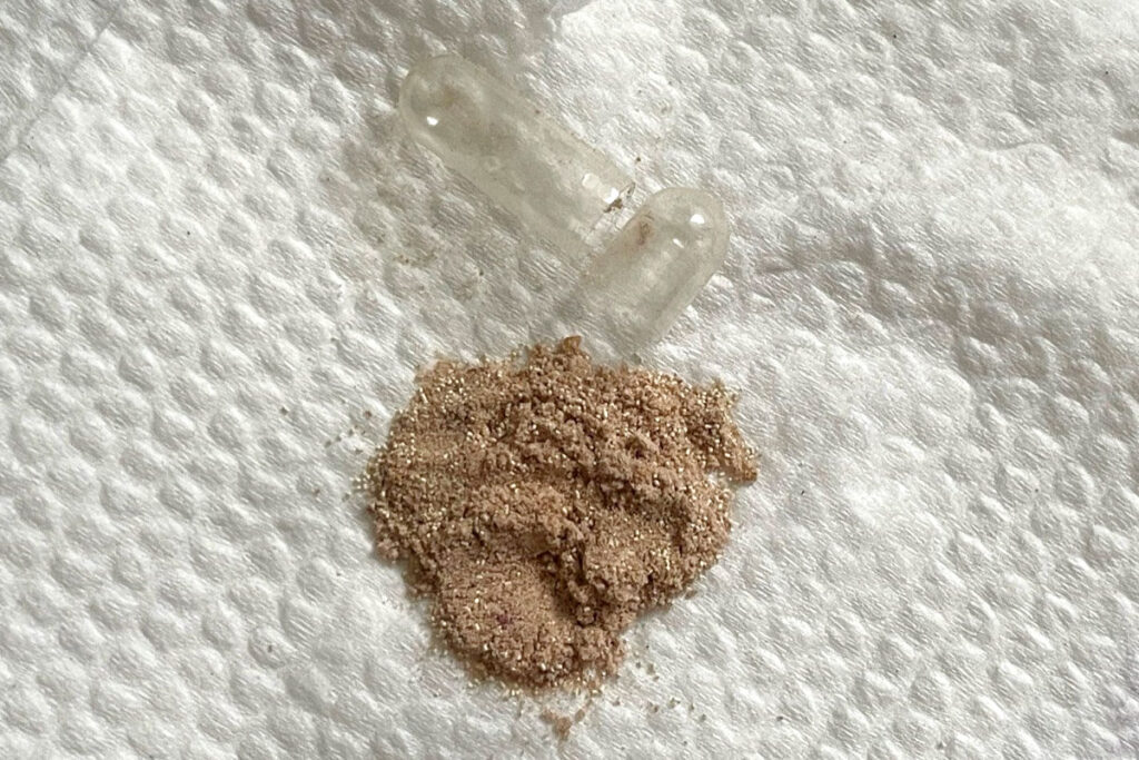 An opened probiotic capsule showing the beige powder inside