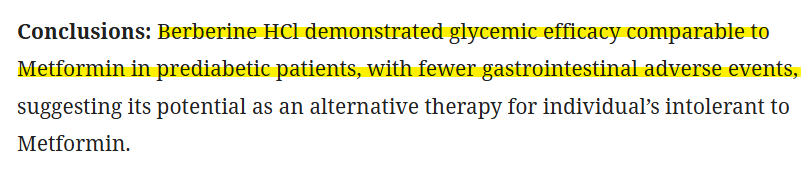 Study conclusion comparing the glycemic effects of berberine HCl and metformin in people with prediabetes